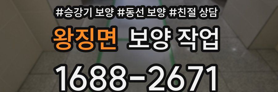 왕징면 보양 작업