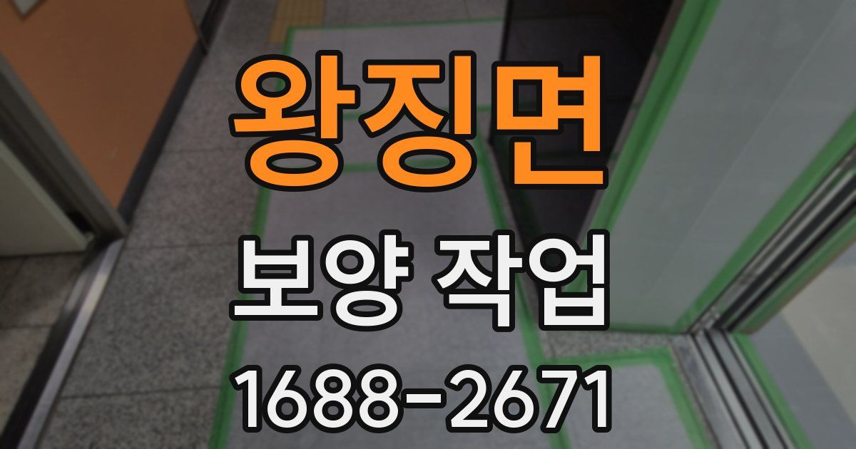 왕징면 보양 작업
