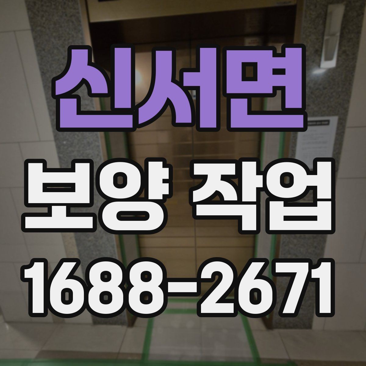 신서면 보양 작업 선택 기준과 비교 포인트