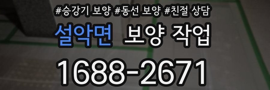 설악면 보양 작업