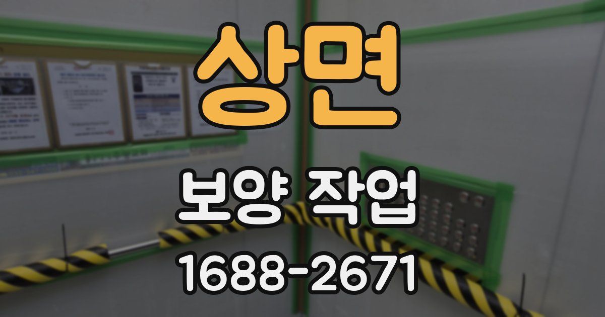상면 보양 작업