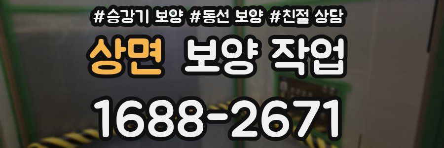 상면 보양 작업