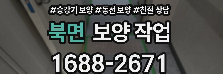 북면 보양 작업