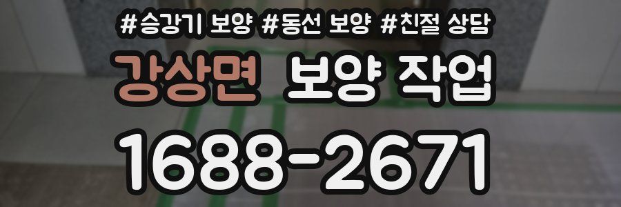 강상면 보양 작업