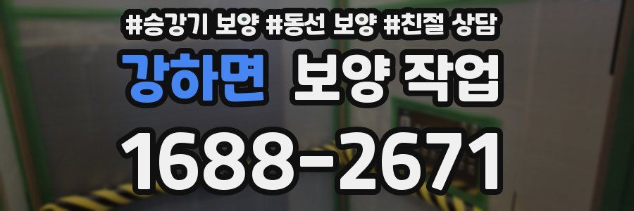강하면 보양 작업