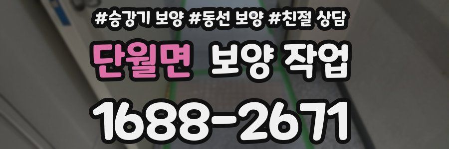 단월면 보양 작업