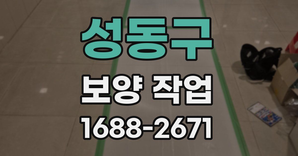 성동구 보양 작업