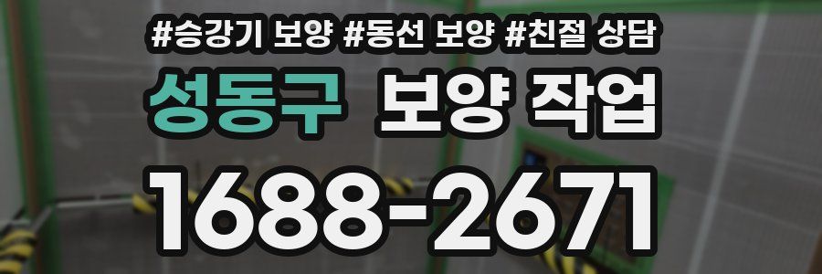 성동구 보양 작업