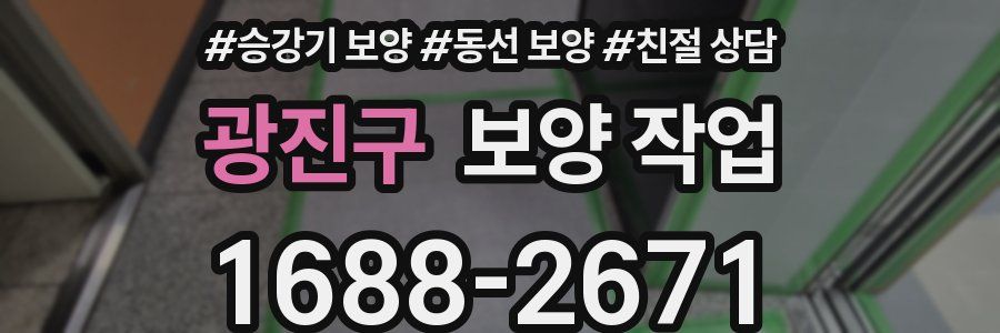 광진구 보양 작업