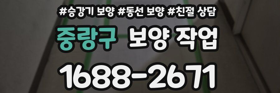 중랑구 보양 작업