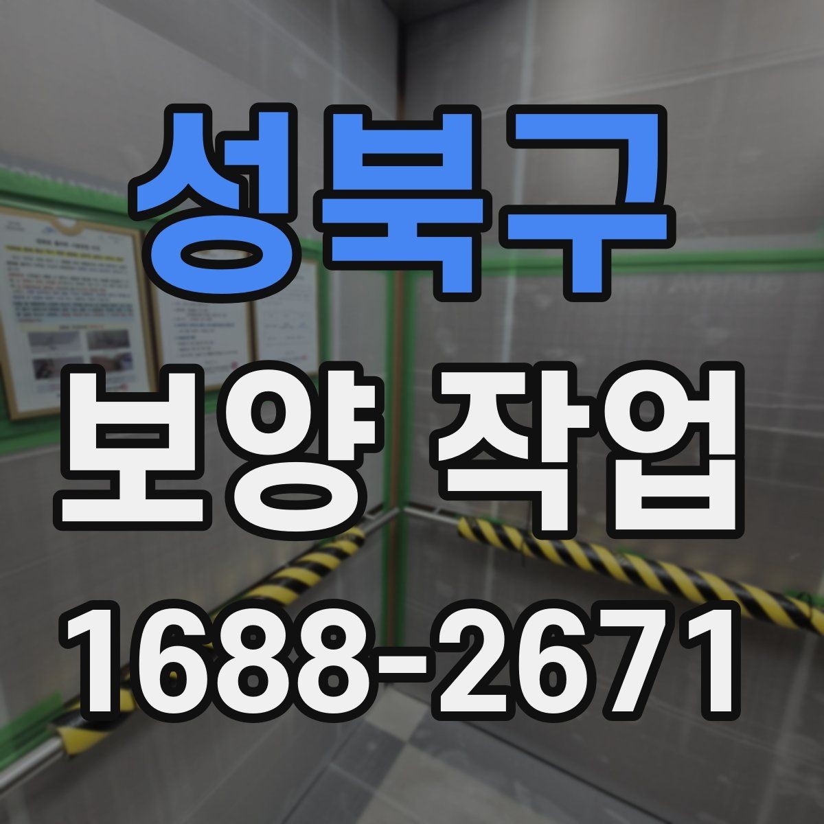 성북구 보양 작업 시공 전후 비교로 보는 변화