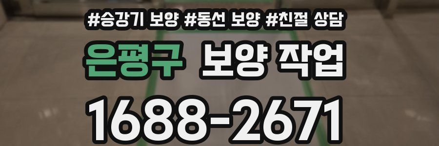 은평구 보양 작업