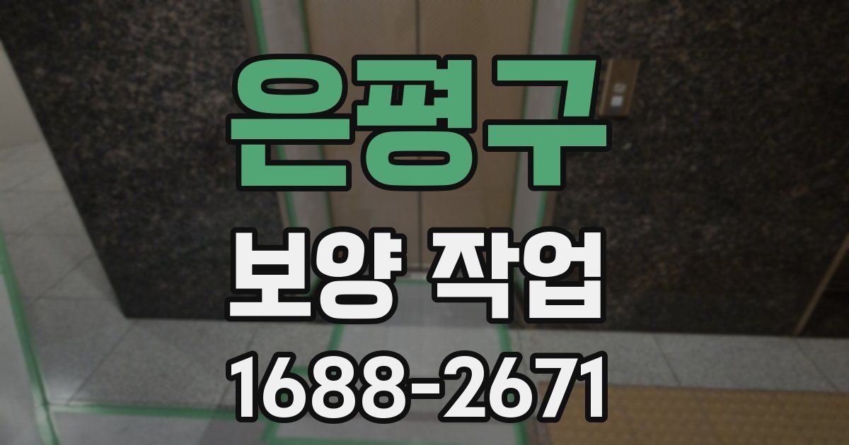 은평구 보양 작업
