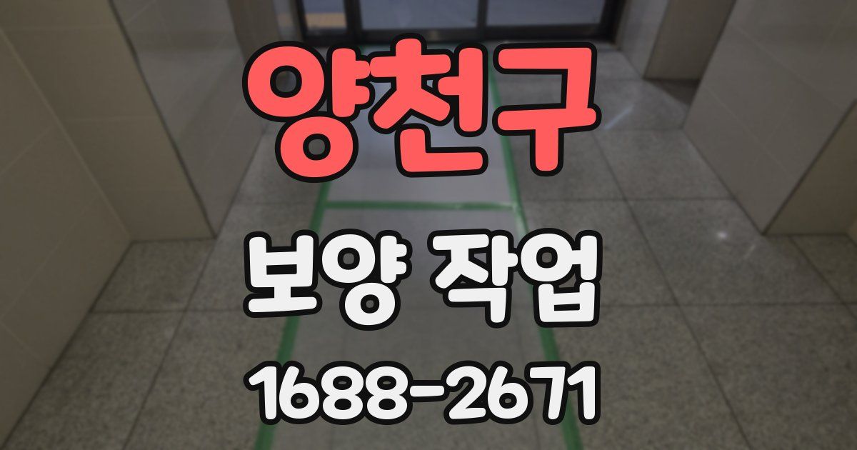 양천구 보양 작업