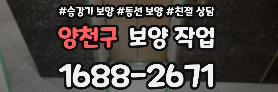 양천구 보양 작업