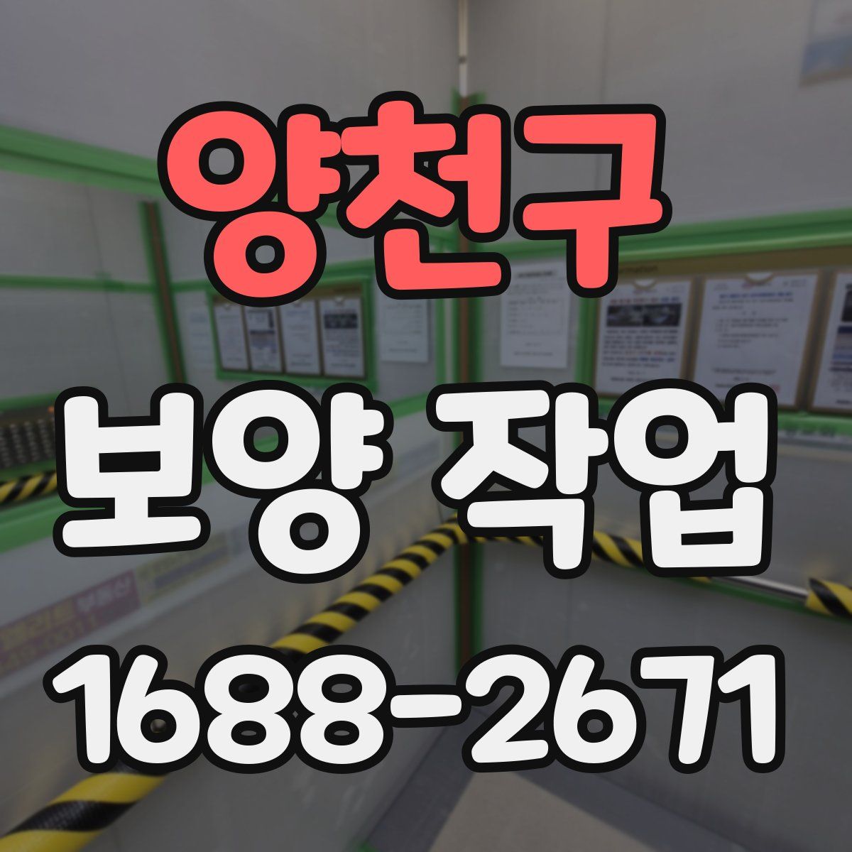 양천구 보양 작업