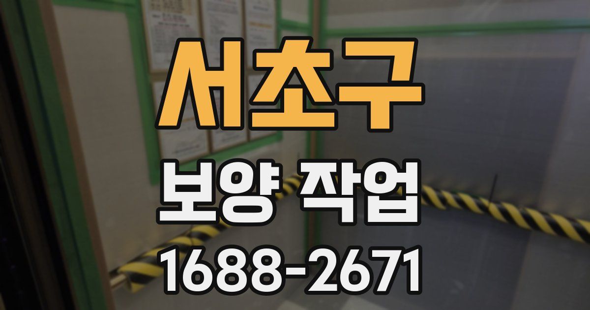 서초구 보양 작업