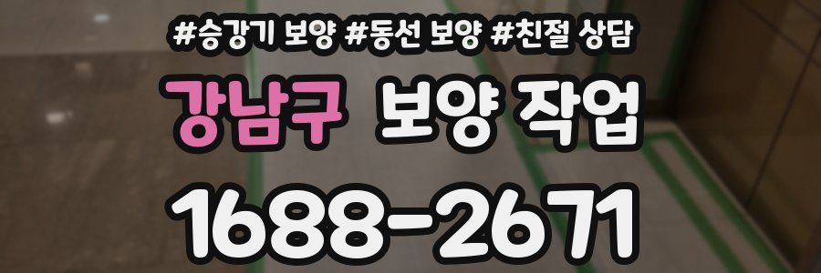강남구 보양 작업