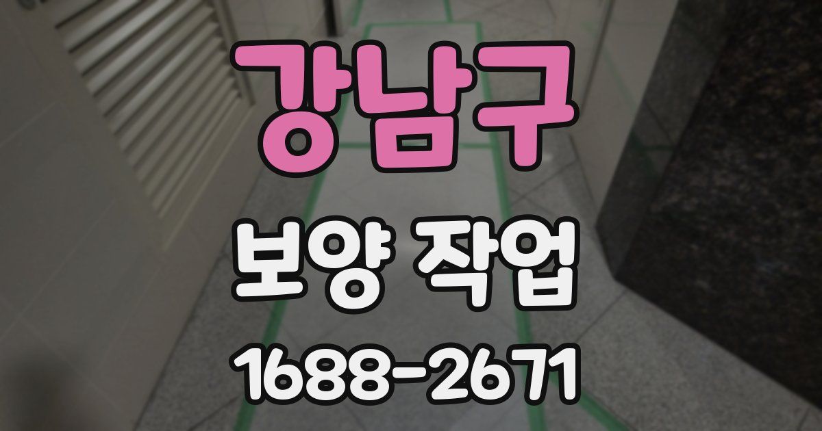 강남구 보양 작업