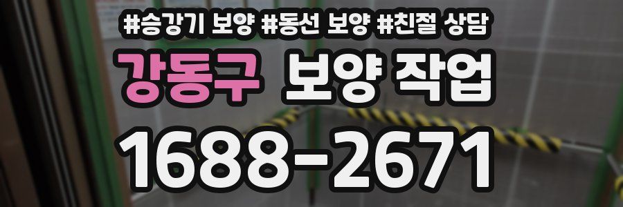 강동구 보양 작업