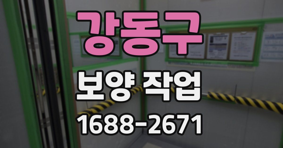 강동구 보양 작업