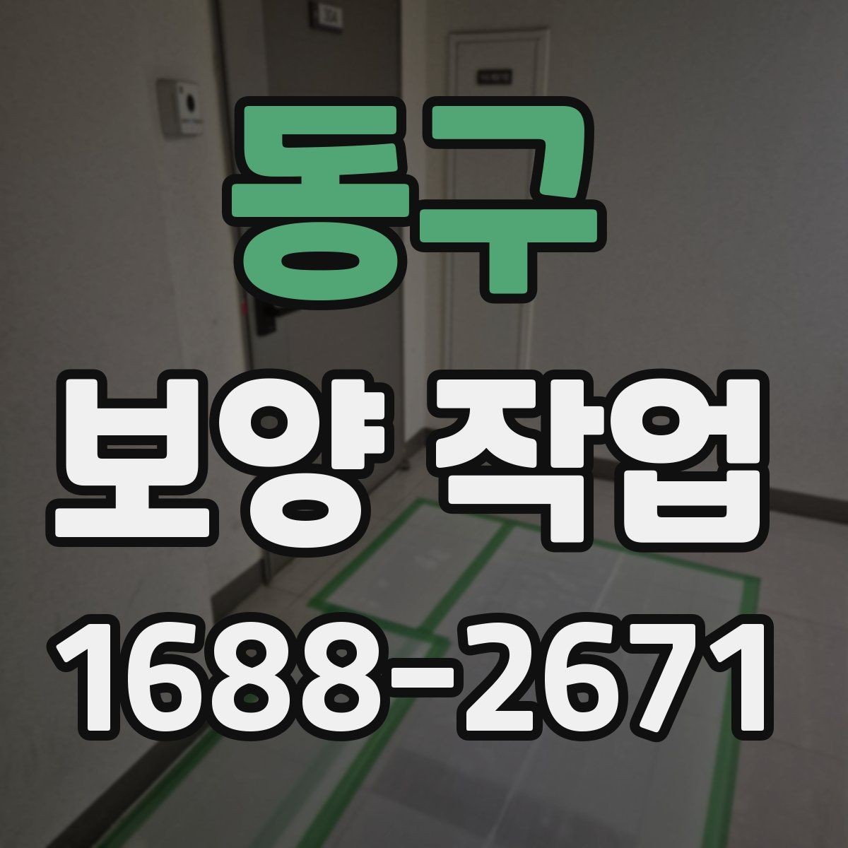 동구 보양 작업 전후 사진으로 보는 현장 변화