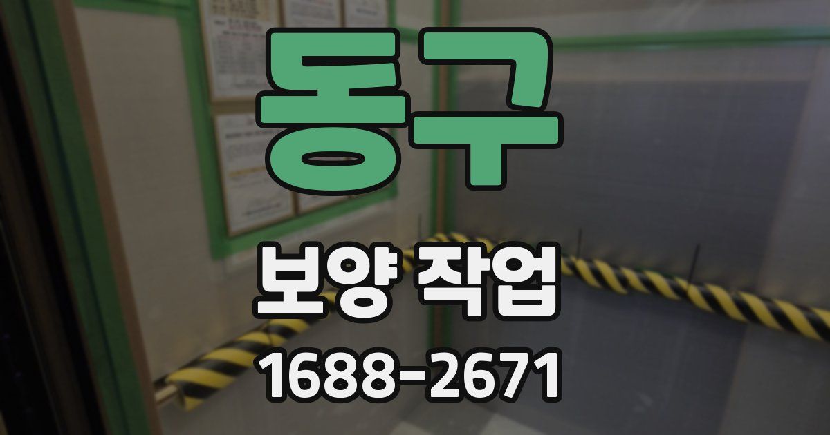 동구 보양 작업