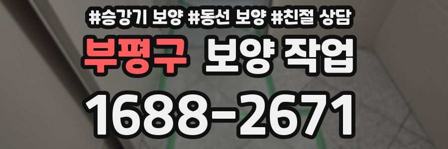 부평구 보양 작업