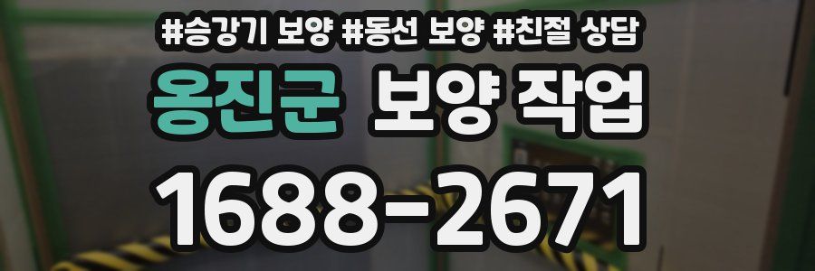 옹진군 보양 작업