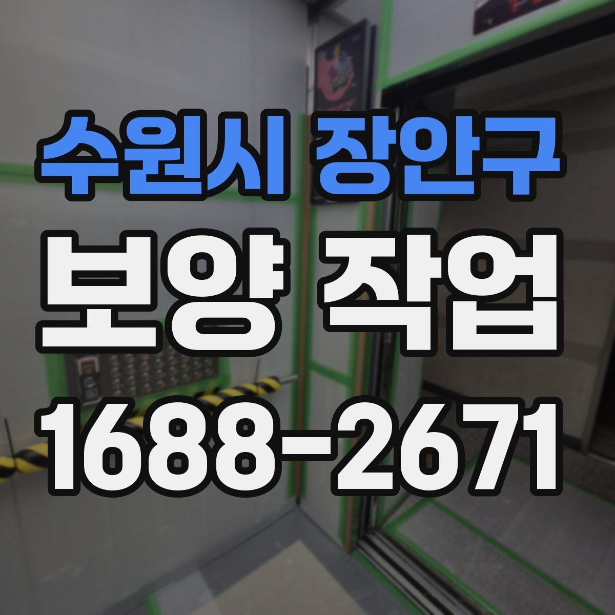 수원시 장안구 보양 작업 시 주의할 점과 관리 방법