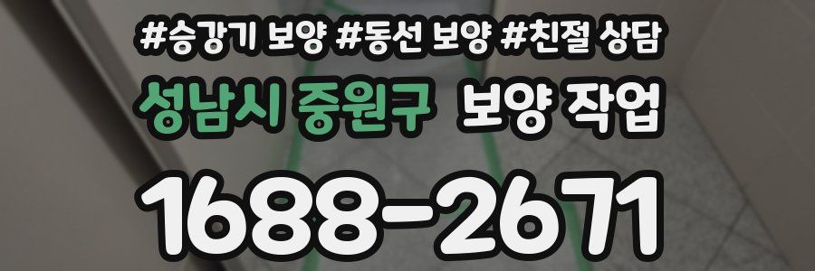 성남시 중원구 보양 작업