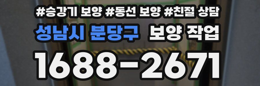 성남시 분당구 보양 작업