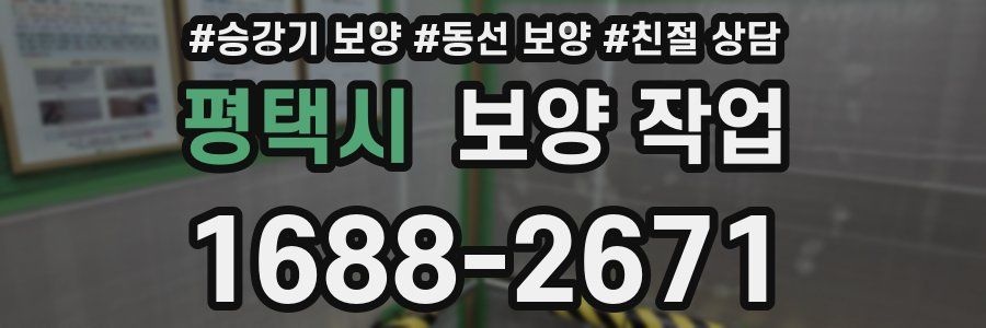 평택시 보양 작업