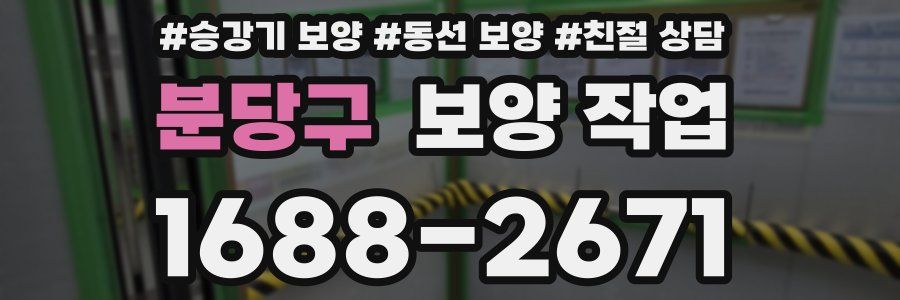 분당구 보양 작업