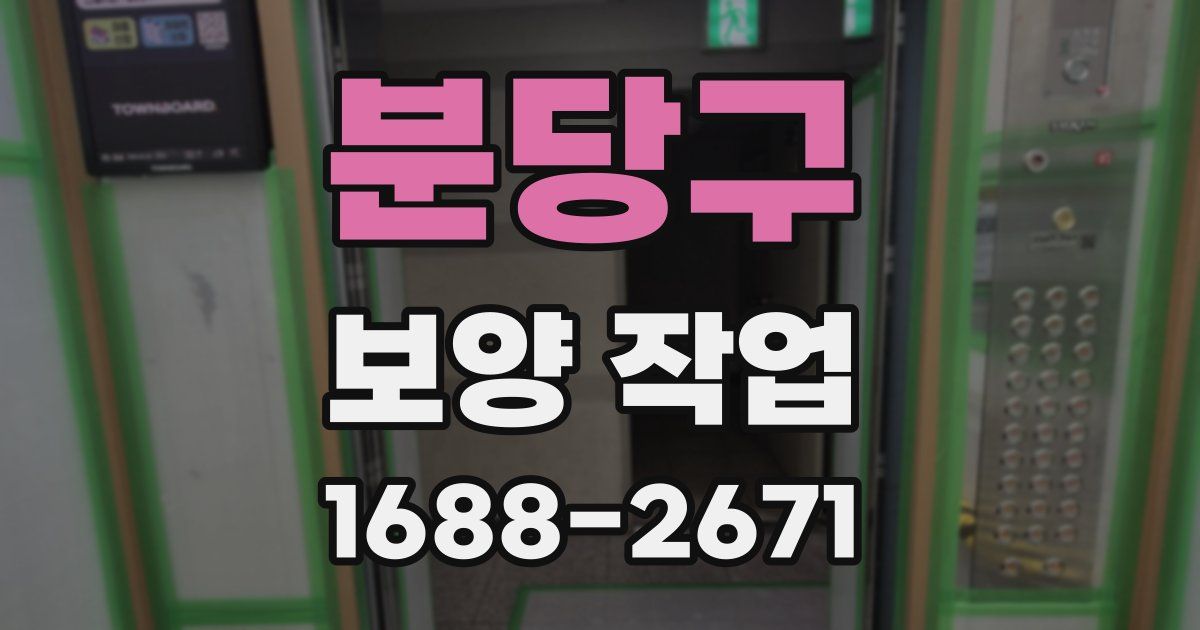 분당구 보양 작업