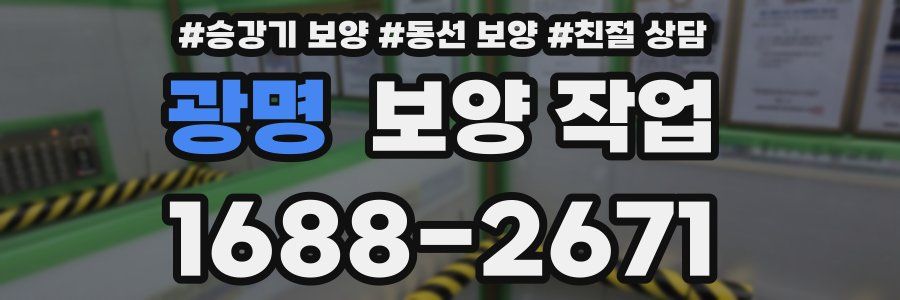 광명 보양 작업