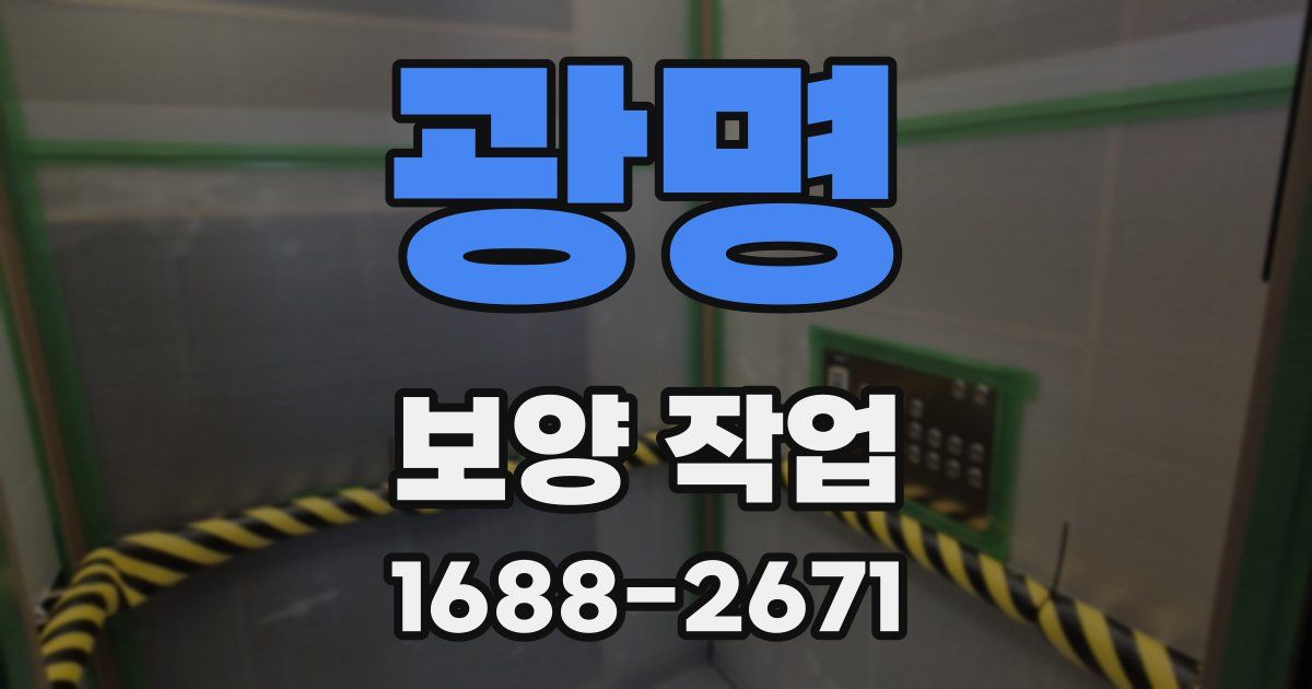광명 보양 작업
