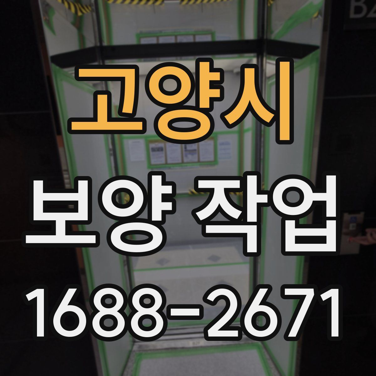 고양시 보양 작업