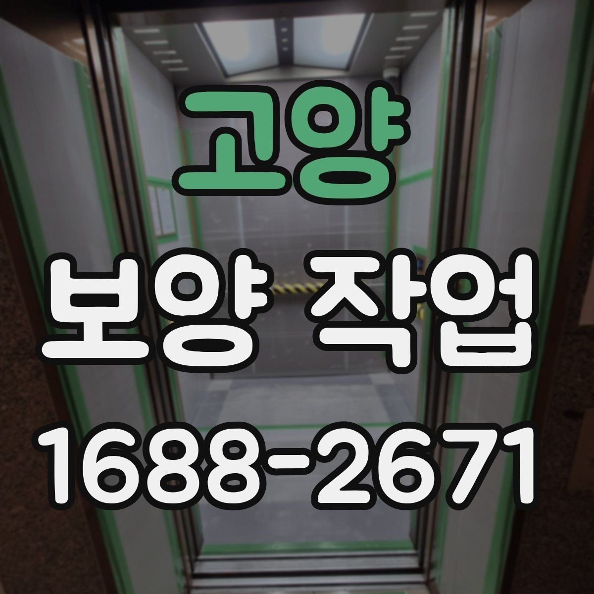 고양 보양 작업 중 발생할 수 있는 변수와 대응