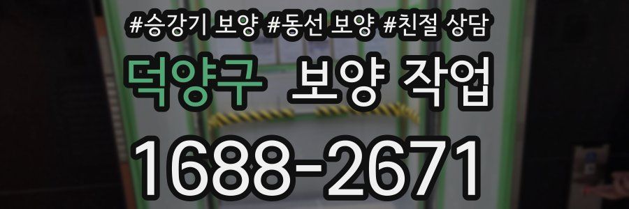 덕양구 보양 작업