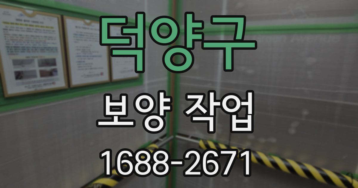 덕양구 보양 작업