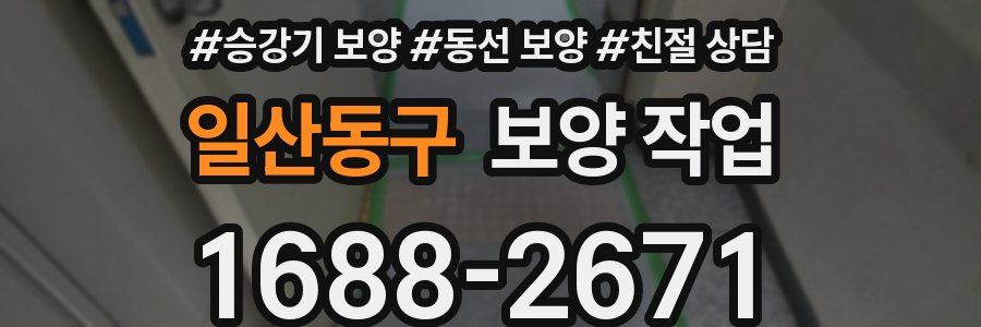 일산동구 보양 작업