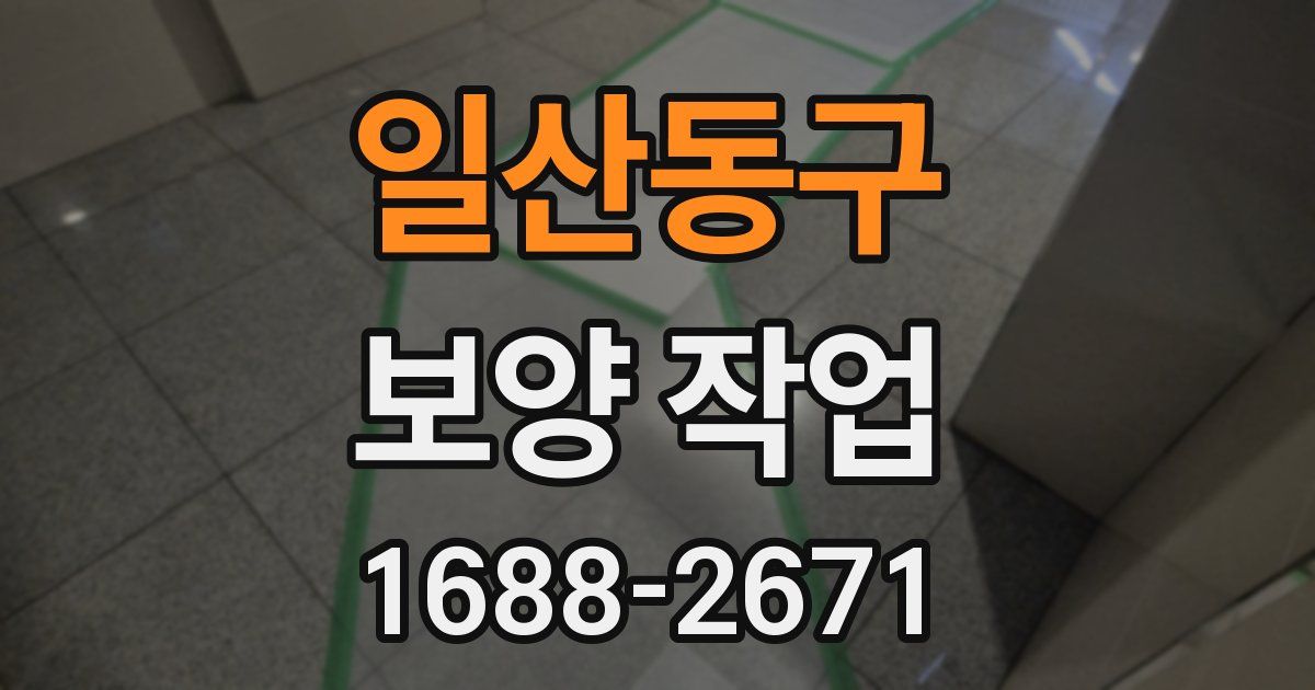 일산동구 보양 작업