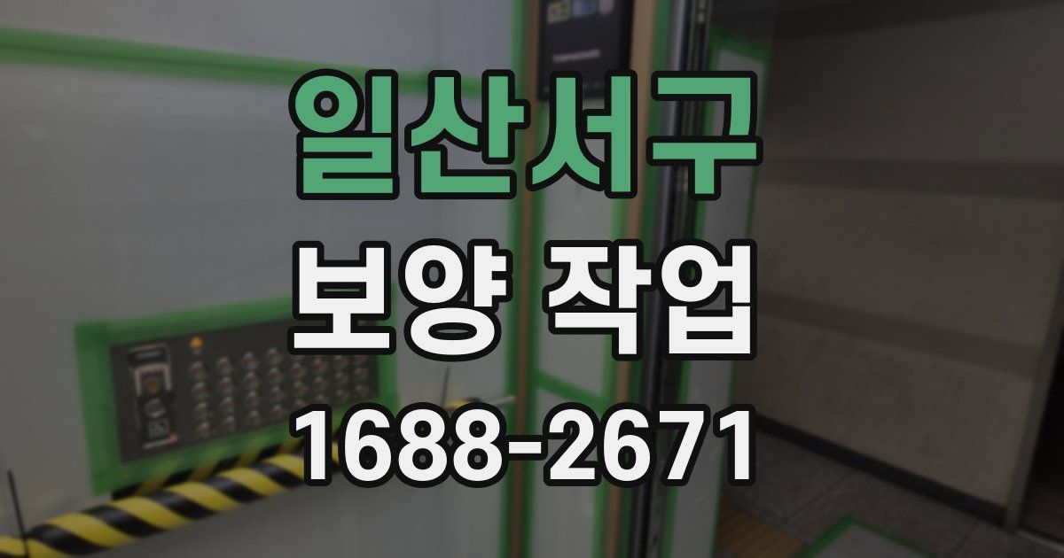 일산서구 보양 작업