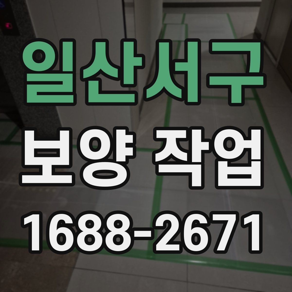 일산서구 보양 작업