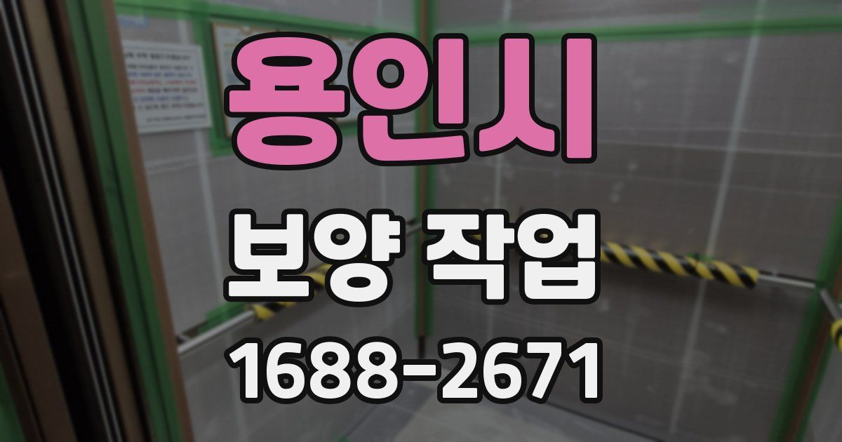 용인시 보양 작업