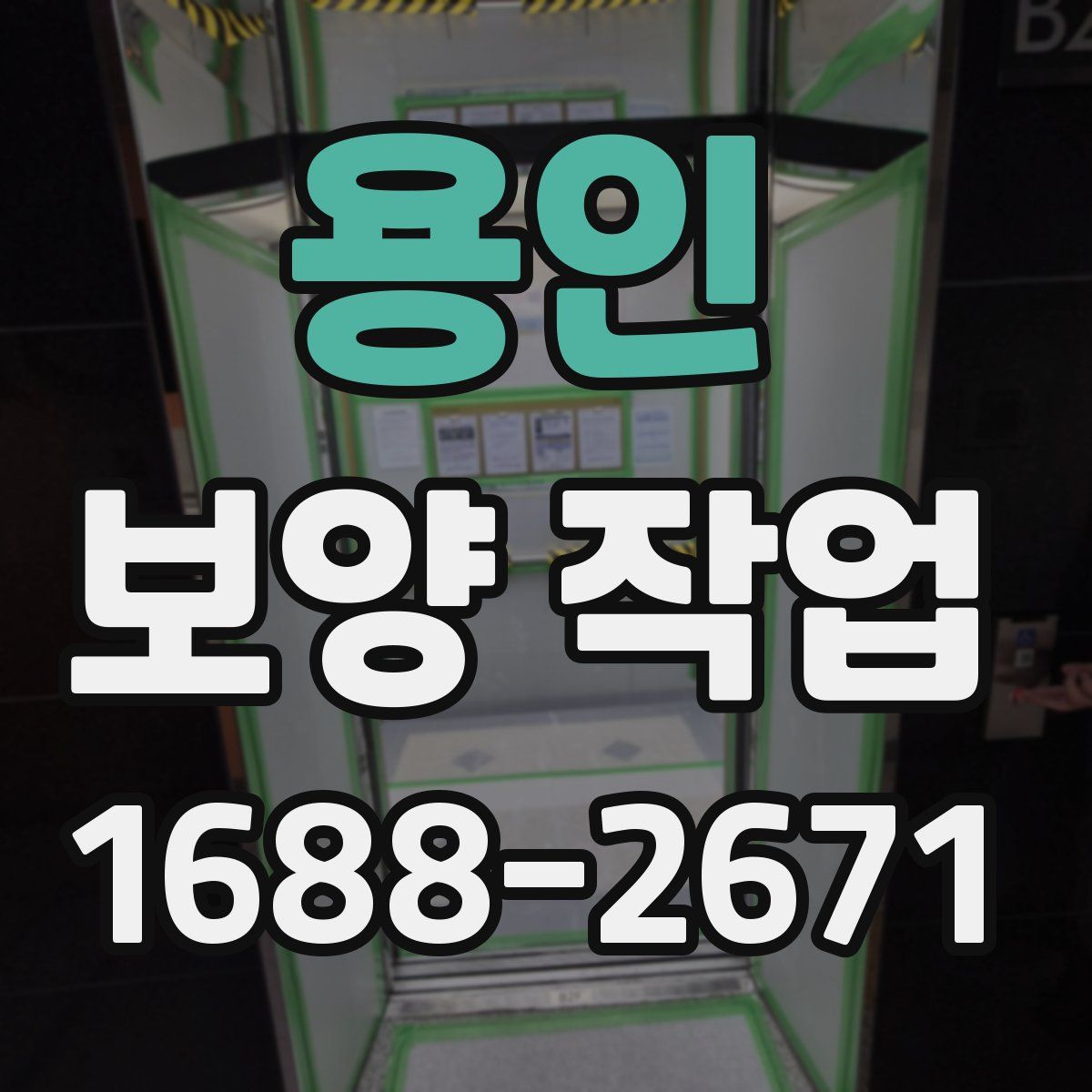 용인 보양 작업