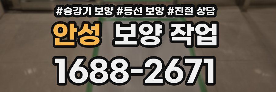 안성 보양 작업