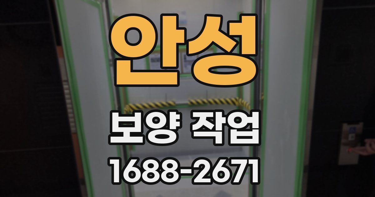 안성 보양 작업