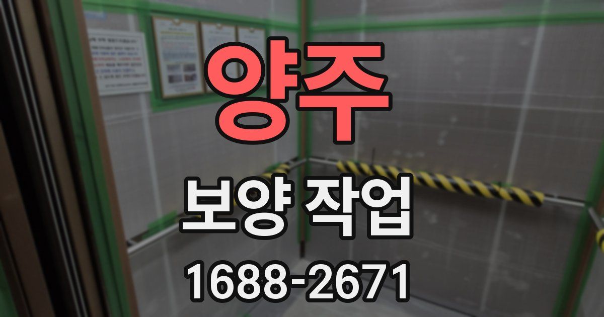 양주 보양 작업